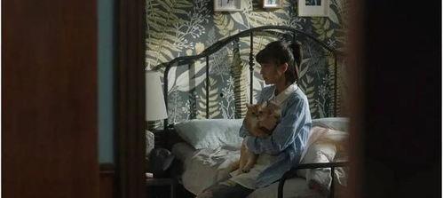 国产剧的穷人片段视频在线观看,揭示社会底层生活百态