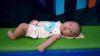 9 视频 国产小青蛙,探寻自然之美，传递生态理念